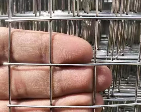 Understanding the Benefits of Welded Wire Mesh in Construction